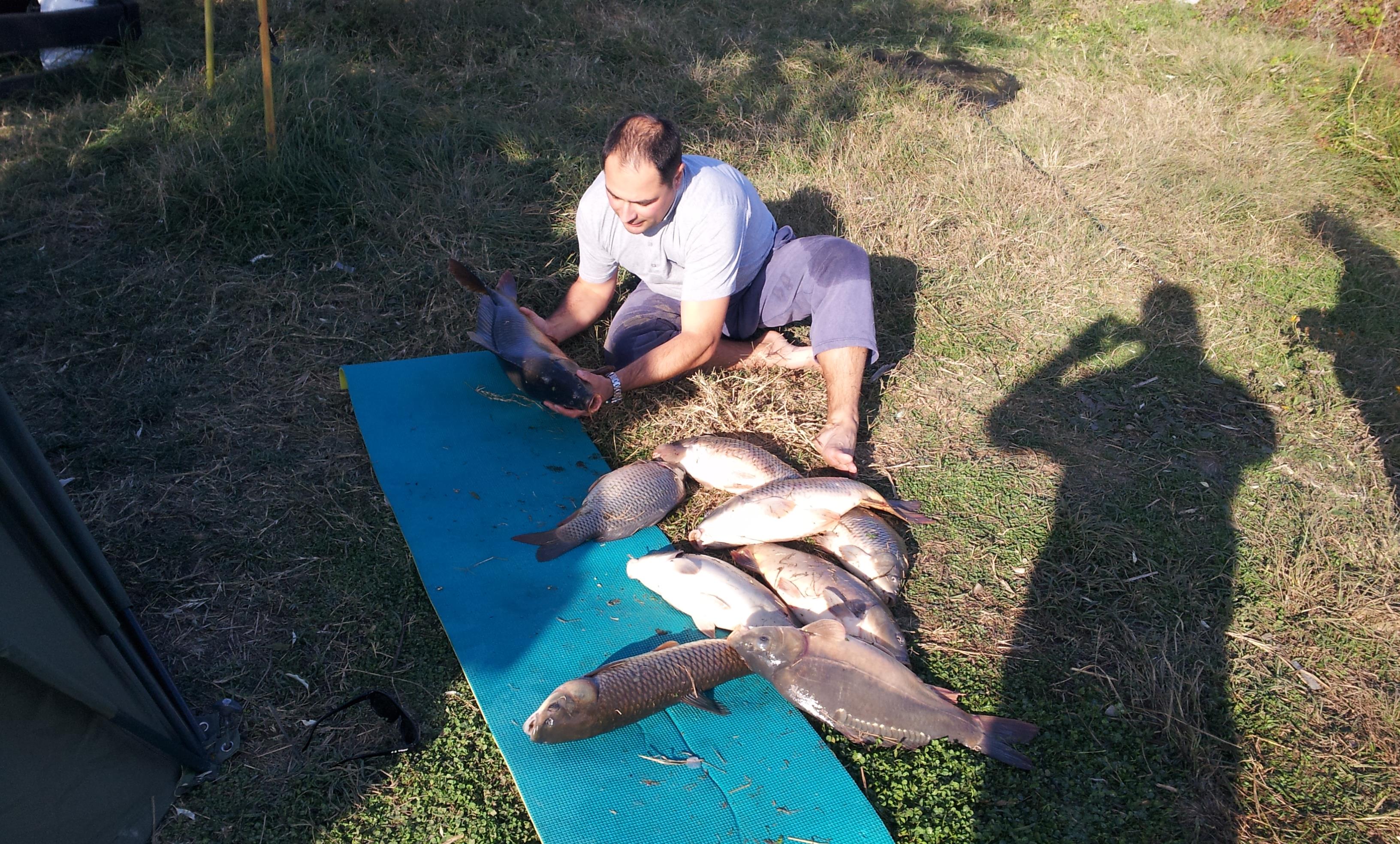 Stolnici - 20121026_161237.jpg